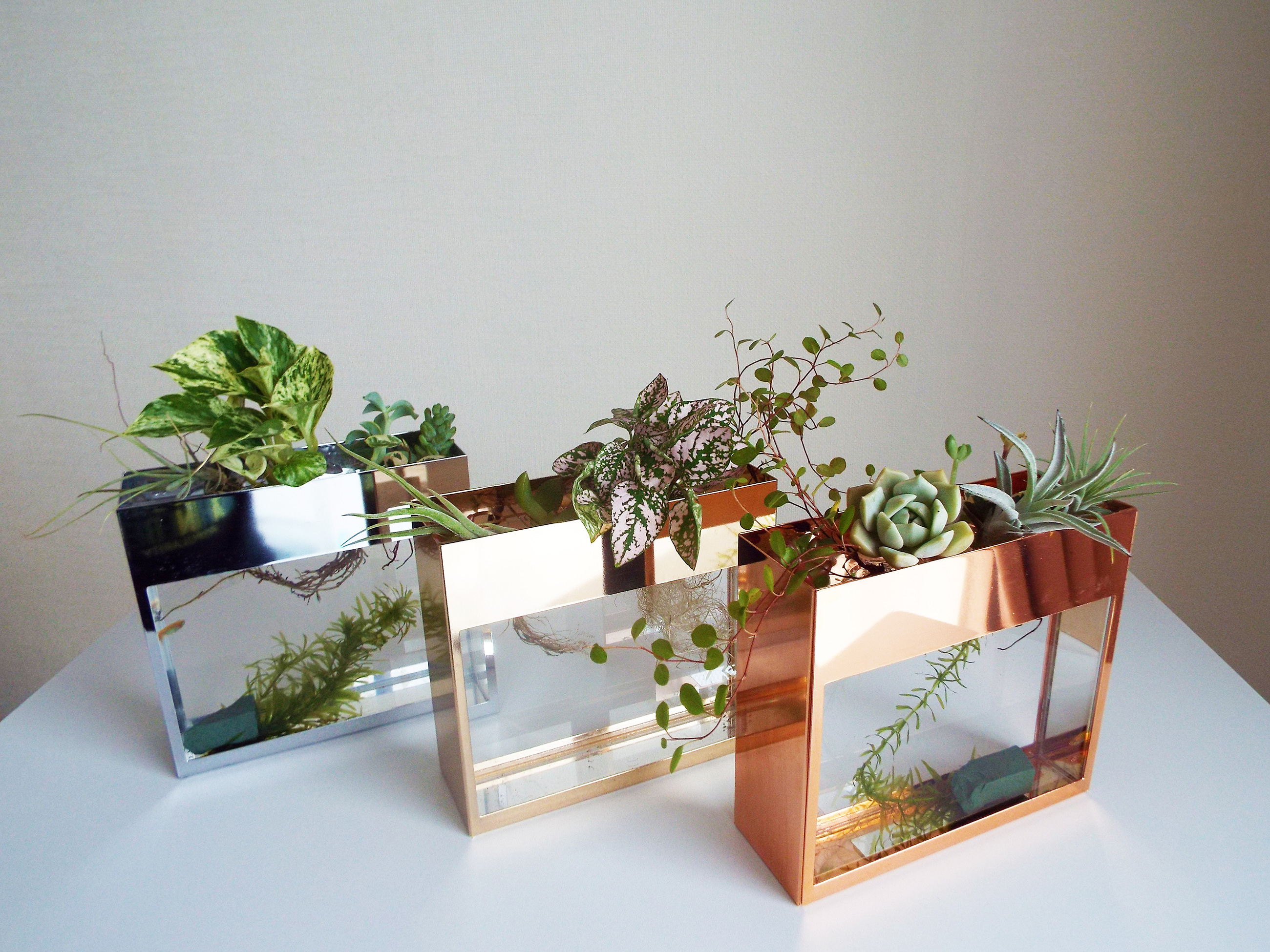 18年 根っこ鑑賞箱 Ne 環境に優しい新たな植物鑑賞プロダクト 商品部門 受賞 受賞一覧 Omotenashi Selection おもてなしセレクション