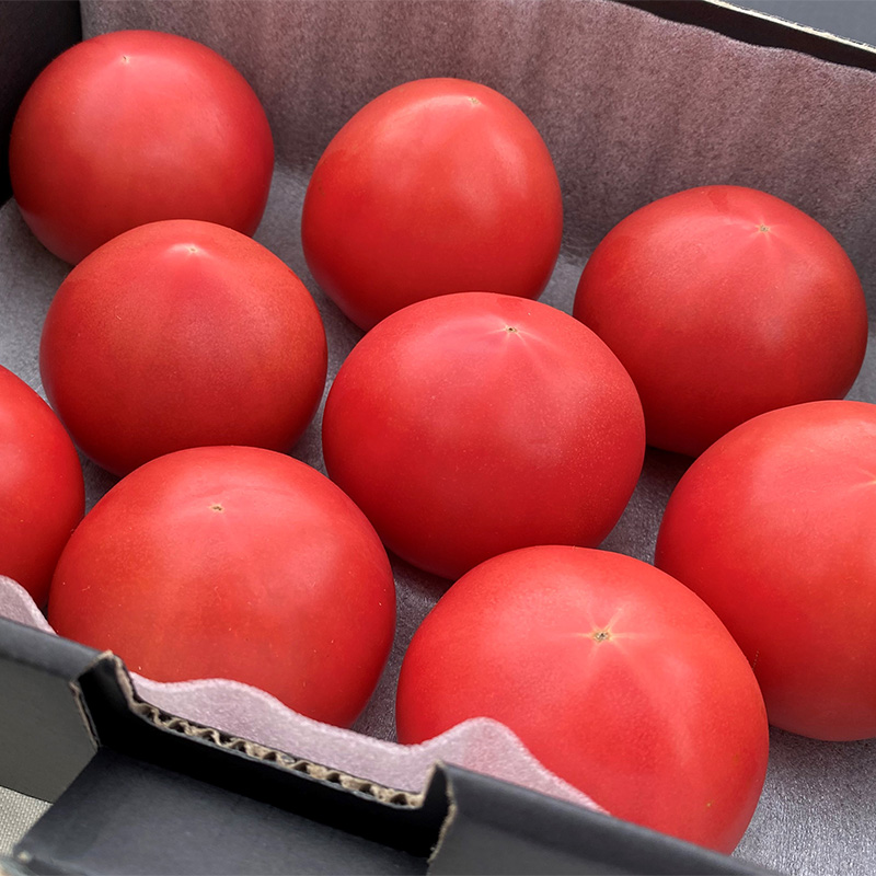 64_0_受_日本郵便株式会社_長野県産フルーツトマト「さやまる」